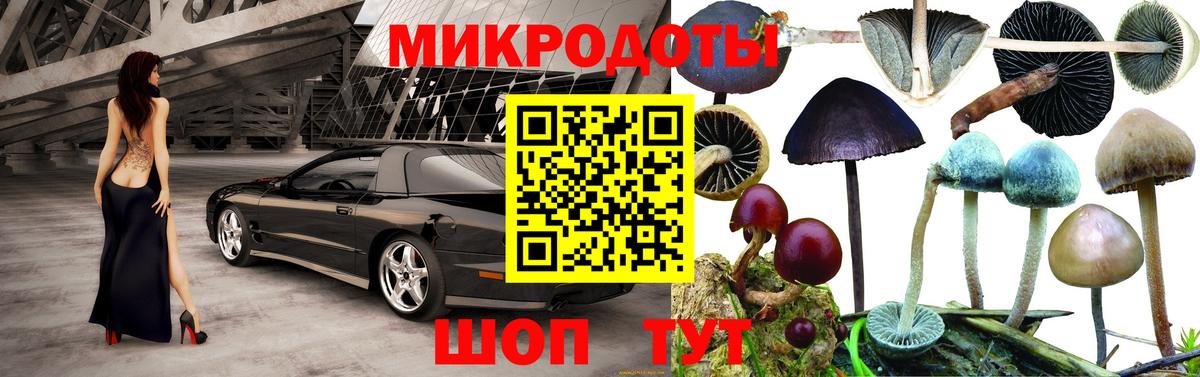 Котлас  где продают наркотики  Вход с VPN  Галлюциногенные грибы мухоморы 