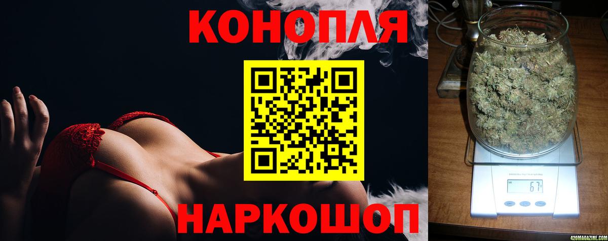 Шишки марихуана OG Kush Котлас